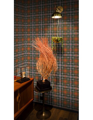 Papier peint tartan - Queen of Punk - Objet de Curiosité Faites des économies