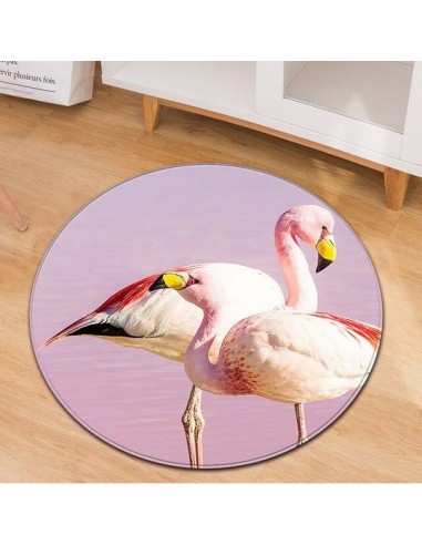 Tapis Rond Flamant Rose Camargue meilleur choix