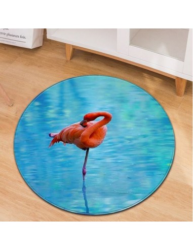 Tapis Rond Flamant Rose Réaliste Les êtres humains sont 