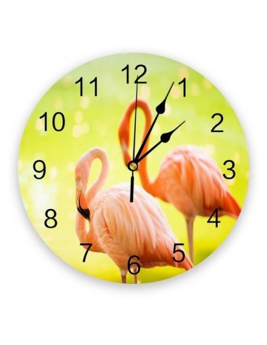 Horloge Flamant Rose Camargue la chaussure