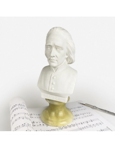 Buste de Franz Liszt d'après Guiseppe Bessi Années 70 store