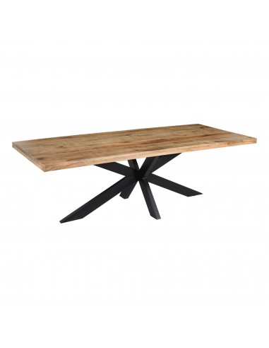 Table REPAS Rectangle CROSY 180x100xH76cm sur le site 