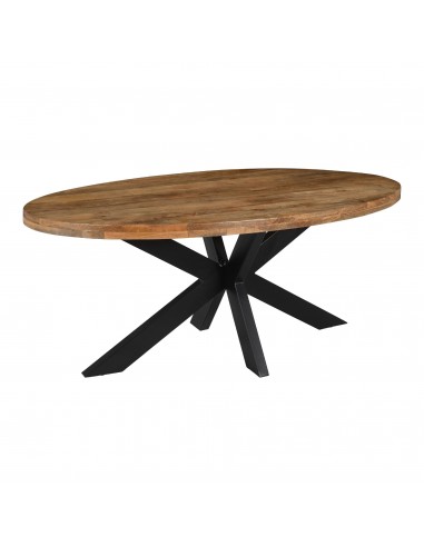 Table REPAS Ovale CROSY 270x110x76cm des créatures d'habitude